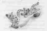 2 Little Snow Leopards
