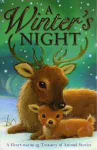 Winter's Night cover