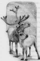 Winter's Night reindeer